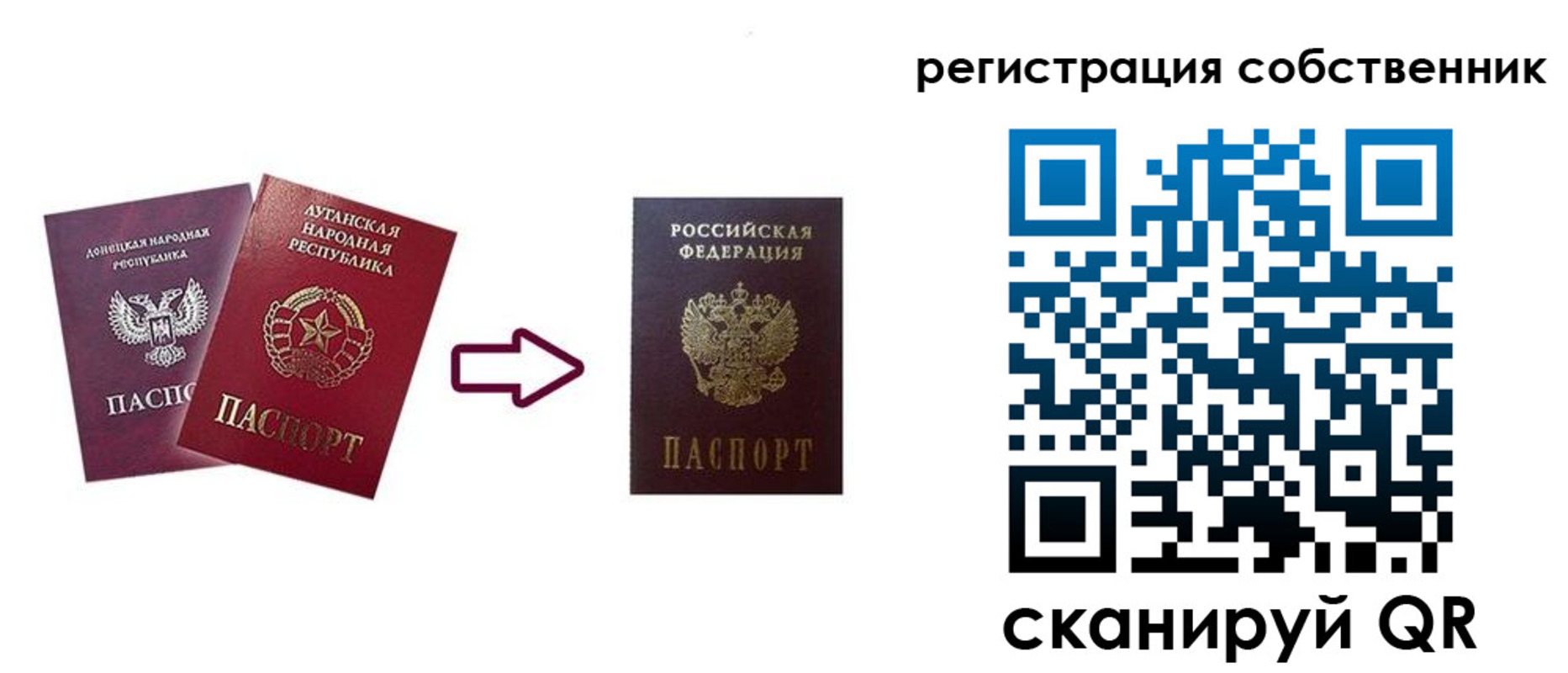 прописка для школы в Электрогорске